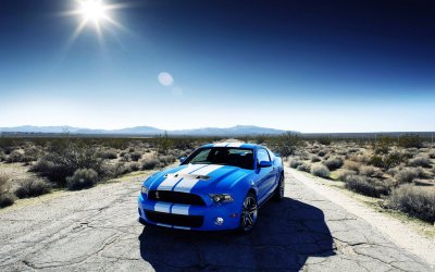 Shelby GT 500 for 1440x900 desktop wallpaper